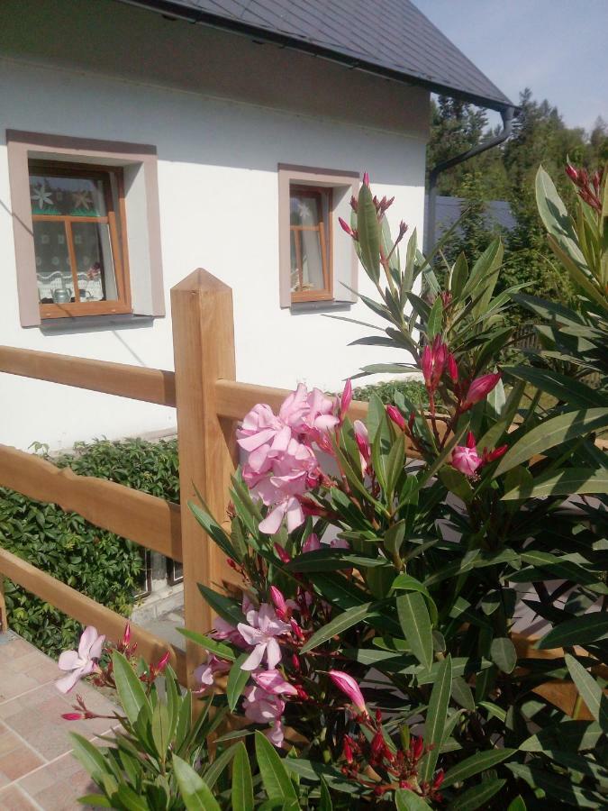 Penzion Edelštejn Petrovice  Exterior foto